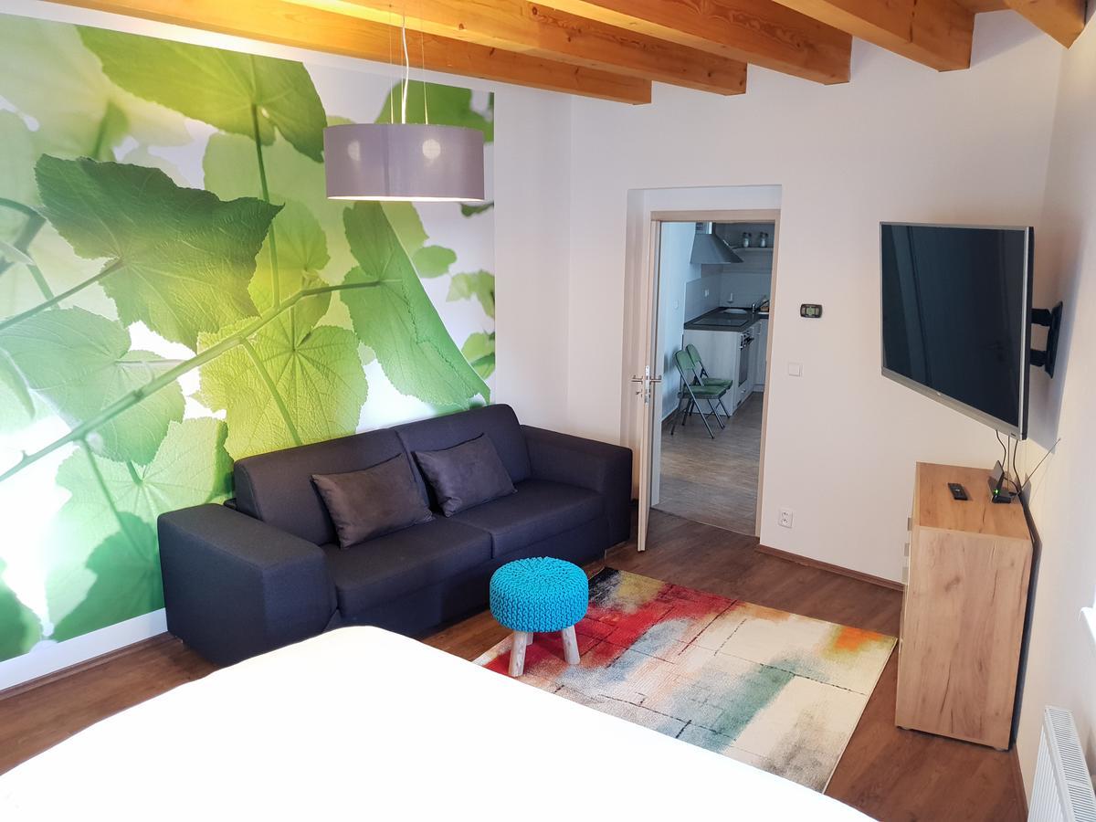 Appartamento Zelny Trh 31 Brno Esterno foto
